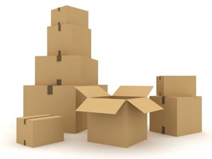 Have Your Heard? We’re Going Box Crazy!