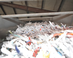 Do You Know Where Your Paper Goes After Secure Document Shredding?